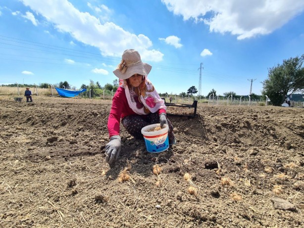 Gramı bile cep yakıyor! Dünyanın en pahalısından haber var