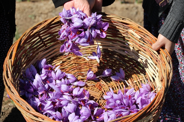 Foto - Gramla satılıyor! Fiyatı dudak uçuklattı