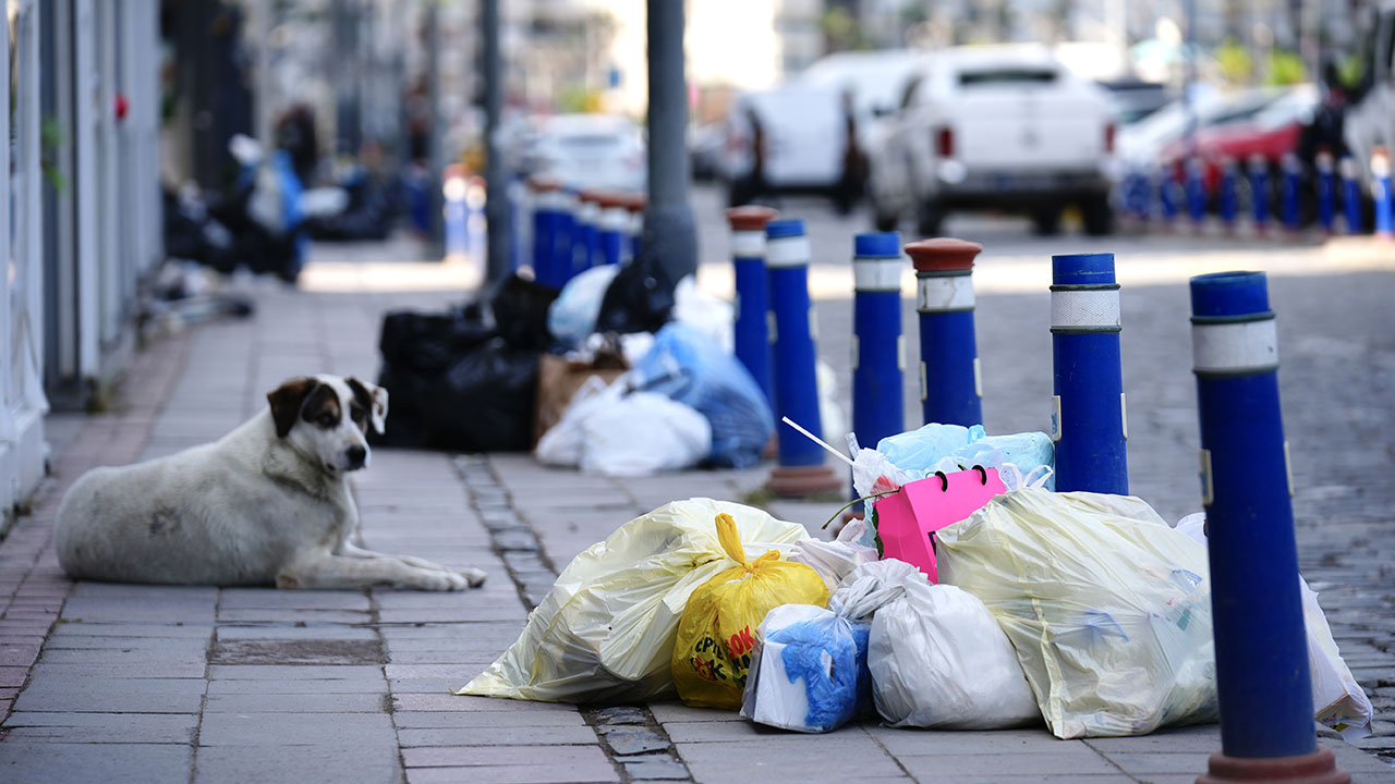 Foto - Grevde 4. gün! Çağdaş İzmir’in çağdaş çöp dağları
