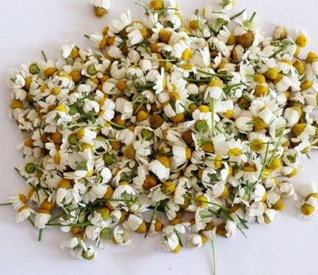 Foto - Gribe iyi gelen bitkiler: 2 katına çıkıyor, uygulamayı yapabiliriz! Duyanın programına dahil oldu! İşte bunların içeriği