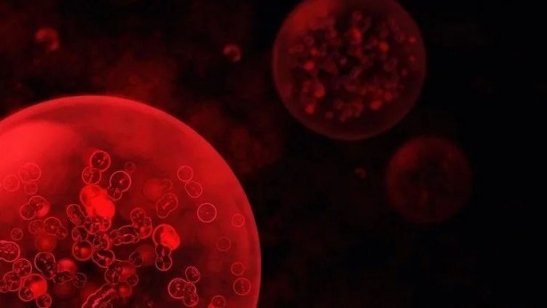 Foto - Gripken ağrı kesici içti! Hayatı karardı