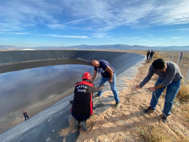 Foto - Gübre havuzunda mahsur kalan tilki böyle kurtarıldı