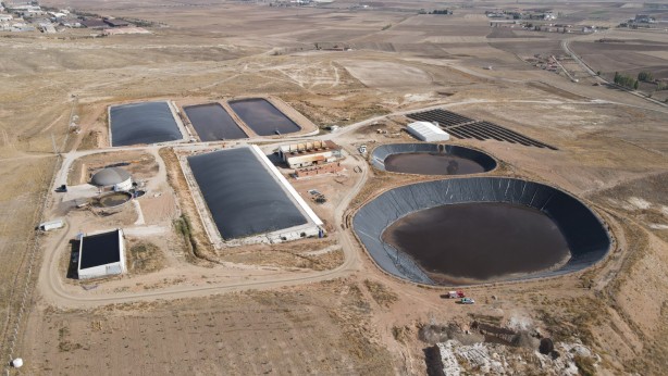 Gübre havuzunda mahsur kalan tilki böyle kurtarıldı