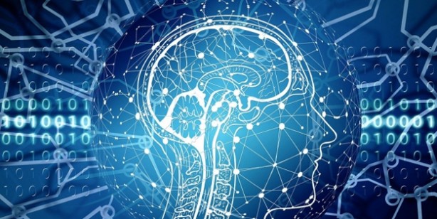 Foto - Güçlü hafıza, keskin bir zeka için 3 besini mutlaka tüketin! Uzmanlar tek tek anlattı: Altın değerinde tavsiyeler