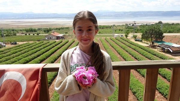 Foto - Gül kokusu bu yıl erken sardı