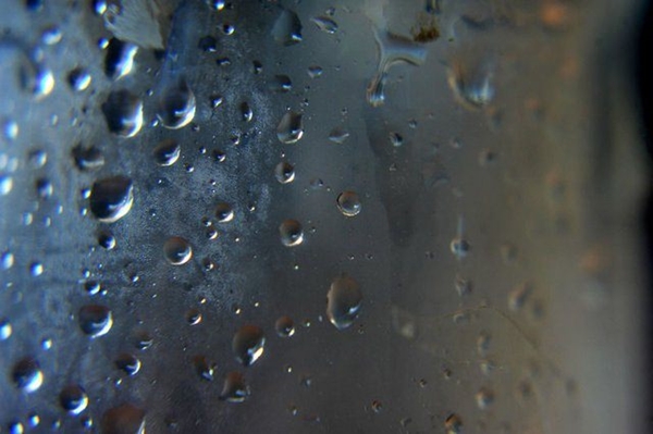 Foto - Gül yağının fiyatı dudak uçuklatıyor!