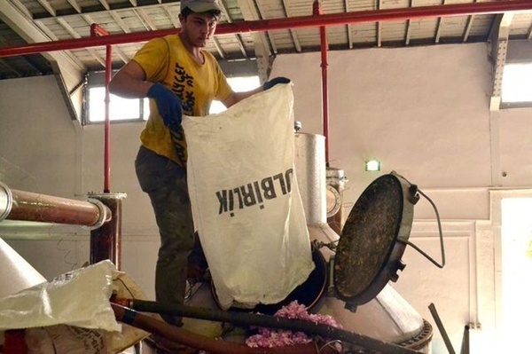 Foto - Gül yağının fiyatı dudak uçuklatıyor!