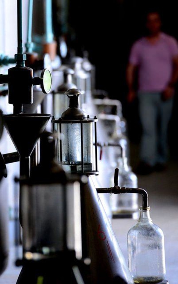 Foto - Gül yağının fiyatı dudak uçuklatıyor!