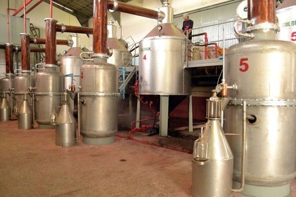 Foto - Gül yağının fiyatı dudak uçuklatıyor!