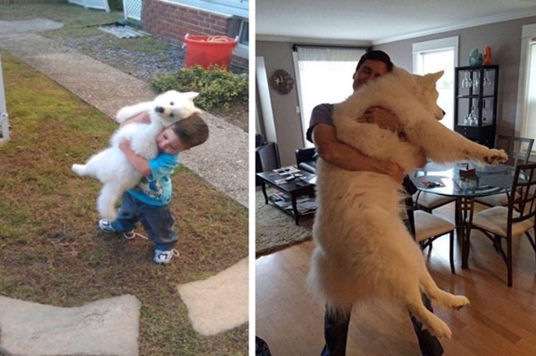 Güler misin ağlar mısın...