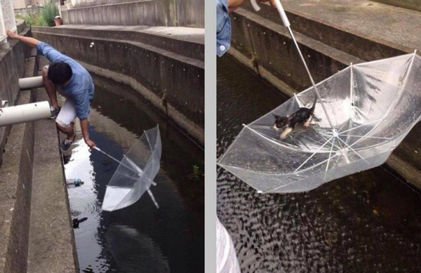 Foto - Güler misin ağlar mısın...