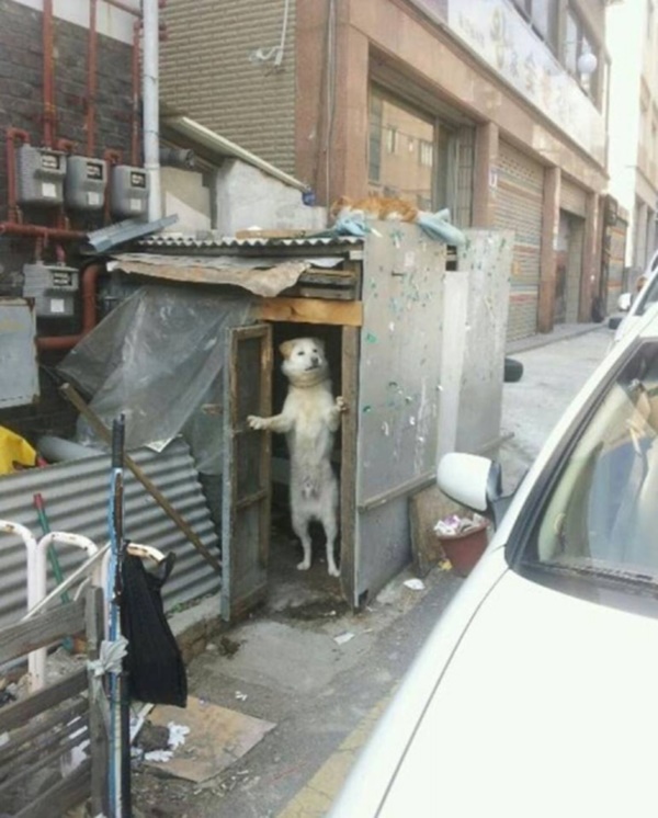 Foto - Güler misin ağlar mısın...