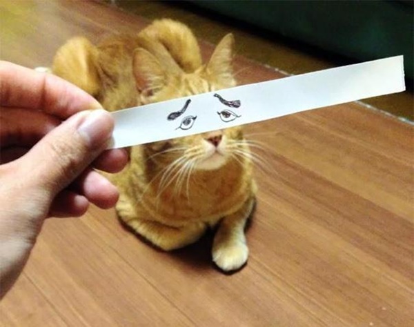 Foto - Güler misin ağlar mısın...