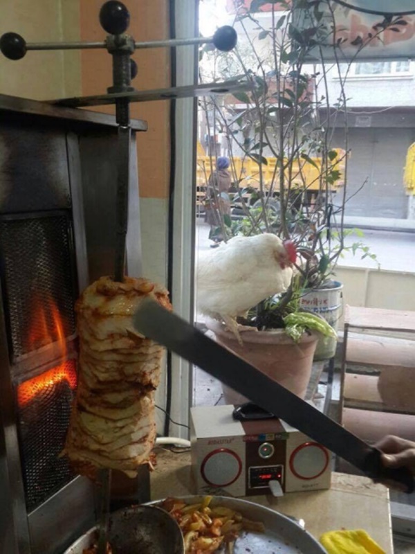 Foto - Güler misin ağlar mısın...