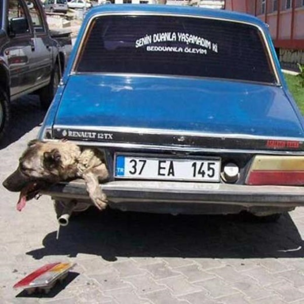 Foto - Güler misin ağlar mısın...