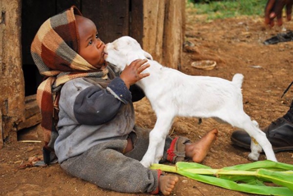Foto - Güler misin ağlar mısın...