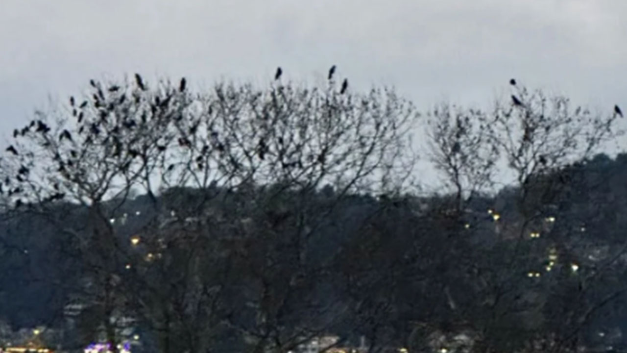 Foto - Güler Sabancı hayal kırıklığını açıkladı