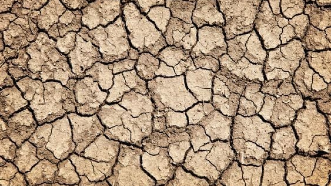 Foto - Güler Sabancı'dan Türkiye'yi tedirgin eden uyarı: Bravo devam, en önemli konumuz