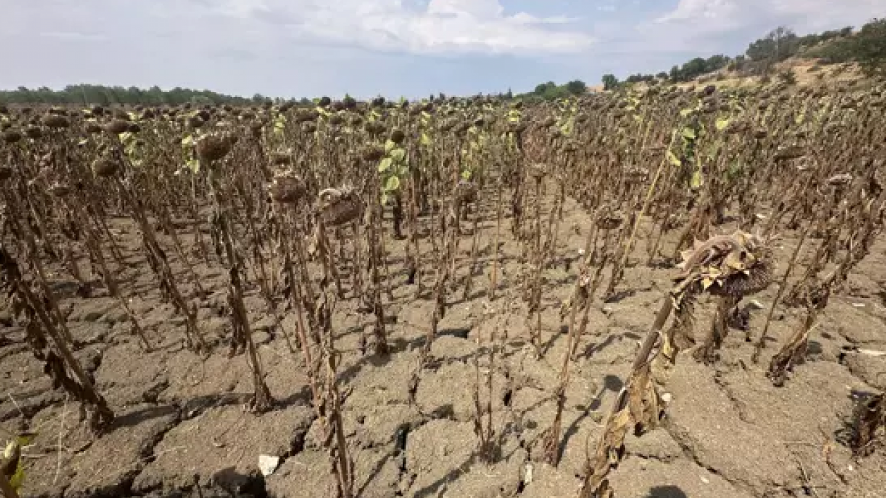 Foto - Güler Sabancı'dan Türkiye'yi tedirgin eden uyarı: Bravo devam, en önemli konumuz