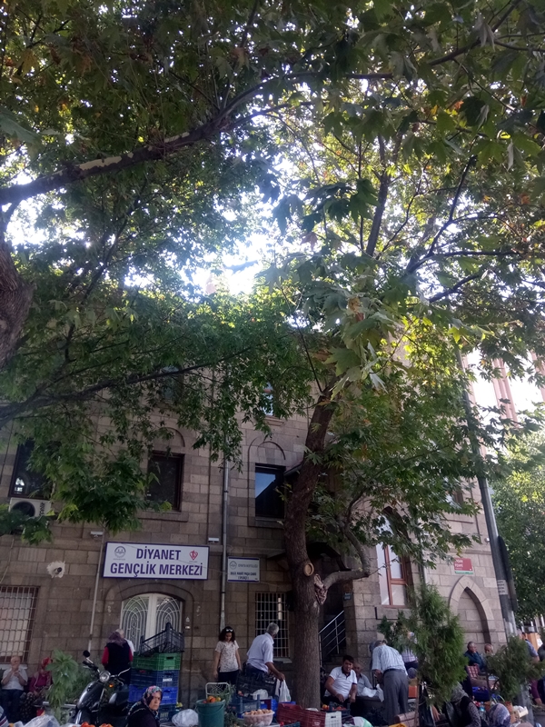 Foto - Güllerin ve lavantaların diyarı Isparta'da gezilecek yerler