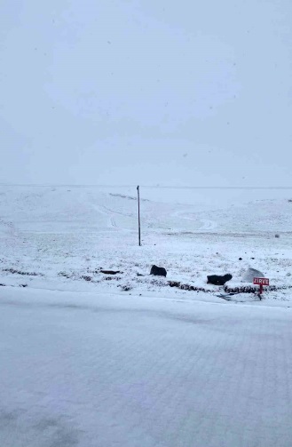 Foto - Gümüşhane beyaza büründü