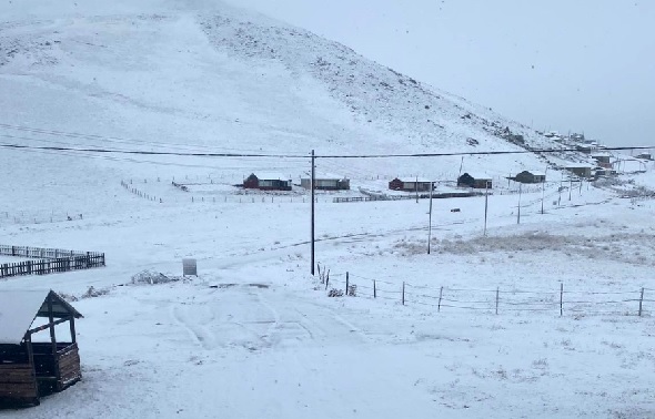 Foto - Gümüşhane beyaza büründü
