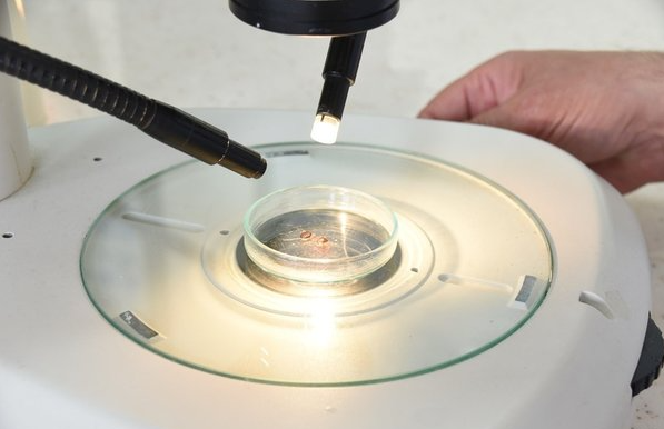 Foto - Gümüşhane, Tokat, Çorum, Zonguldak, Sivas, Yozgat ve Karabük’te yaşayanlar dikkat! Ölümlere neden oluyor