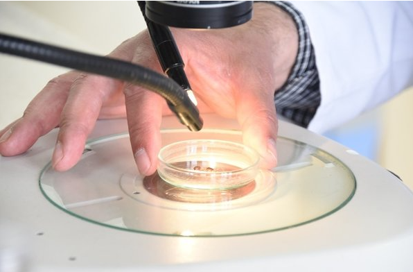 Foto - Gümüşhane, Tokat, Çorum, Zonguldak, Sivas, Yozgat ve Karabük’te yaşayanlar dikkat! Ölümlere neden oluyor