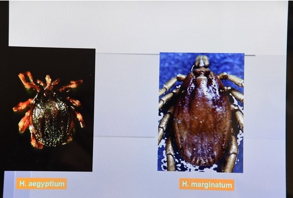 Foto - Gümüşhane, Tokat, Çorum, Zonguldak, Sivas, Yozgat ve Karabük’te yaşayanlar dikkat! Ölümlere neden oluyor