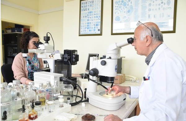 Foto - Gümüşhane, Tokat, Çorum, Zonguldak, Sivas, Yozgat ve Karabük’te yaşayanlar dikkat! Ölümlere neden oluyor