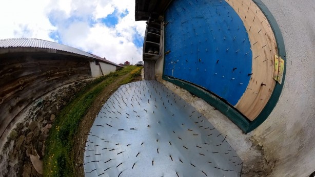 Foto - Gümüşhane’de ayı tehdidine Karadeniz usulü çözüm