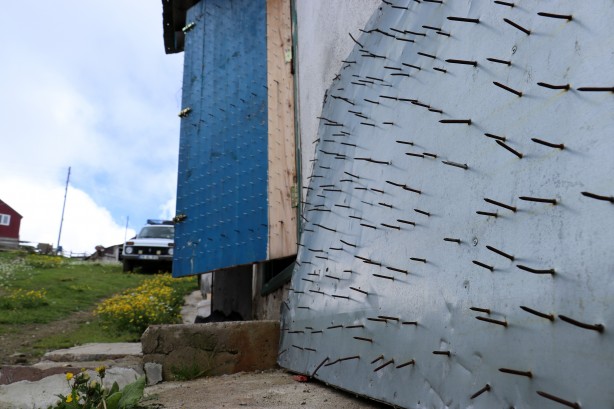 Foto - Gümüşhane’de ayı tehdidine Karadeniz usulü çözüm