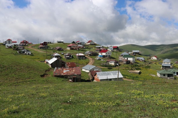 Foto - Gümüşhane’de ayı tehdidine Karadeniz usulü çözüm