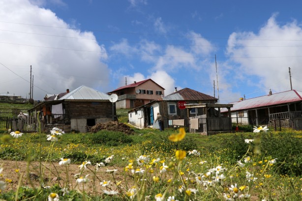 Foto - Gümüşhane’de ayı tehdidine Karadeniz usulü çözüm