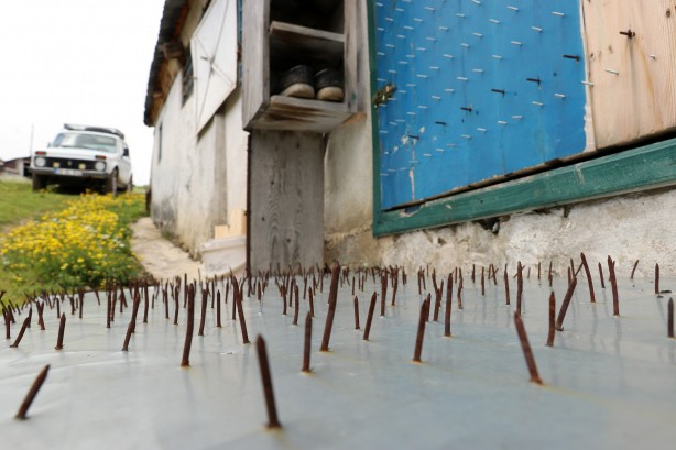Foto - Gümüşhane’de ayı tehdidine Karadeniz usulü çözüm