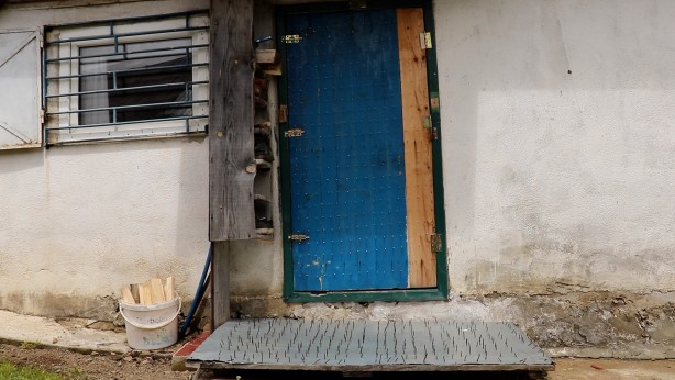 Foto - Gümüşhane’de ayı tehdidine Karadeniz usulü çözüm