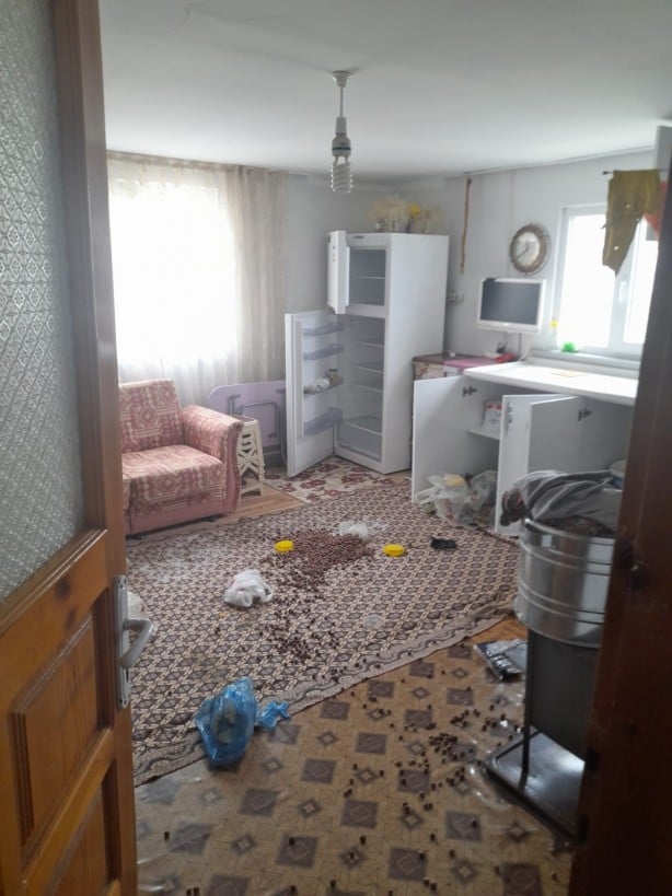 Gümüşhane'de ayılar yayla evine dadandı!
