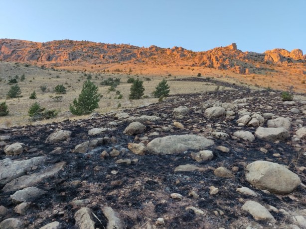 Foto - Gümüşhane’de dağlık alanda çıkan yangın söndürüldü