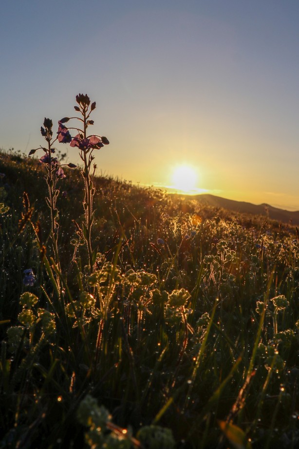 Foto - Gümüşhane’de eşsiz sis denizi manzarası