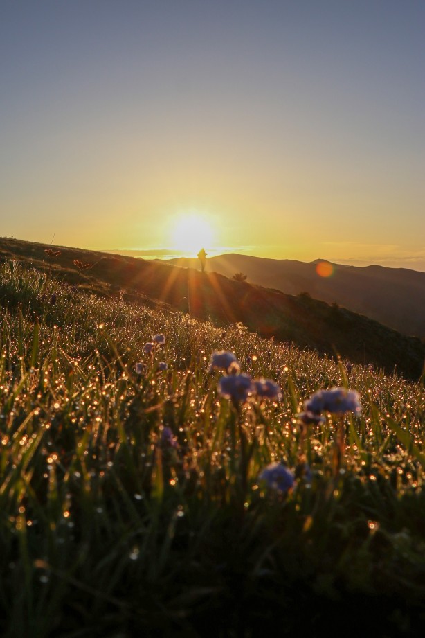 Foto - Gümüşhane’de eşsiz sis denizi manzarası