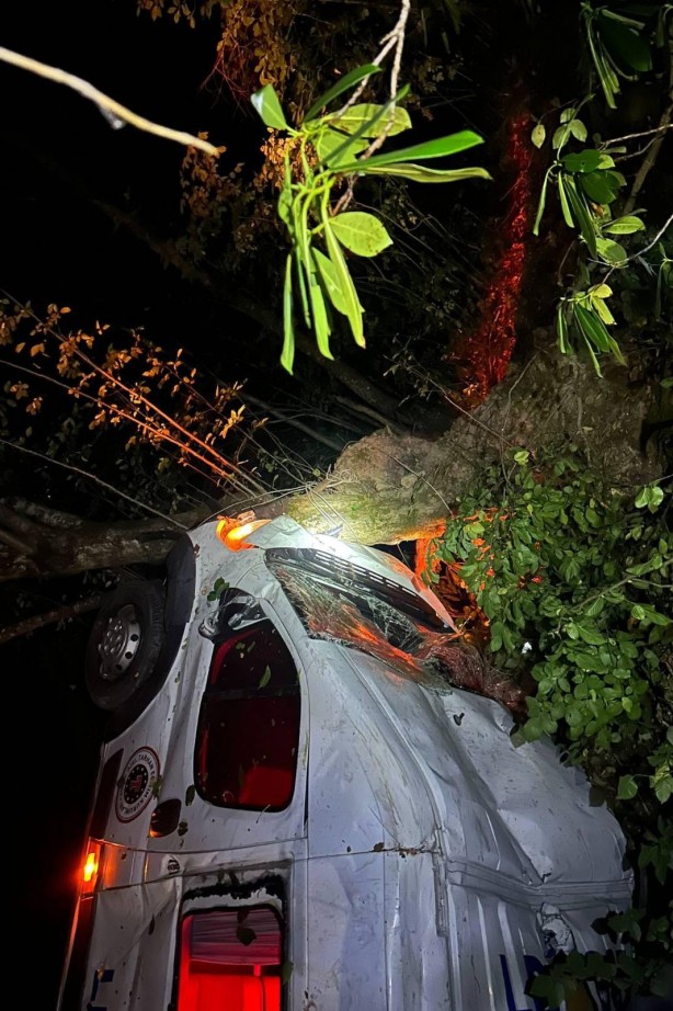 Gümüşhane'de minibüs uçuruma yuvarlandı