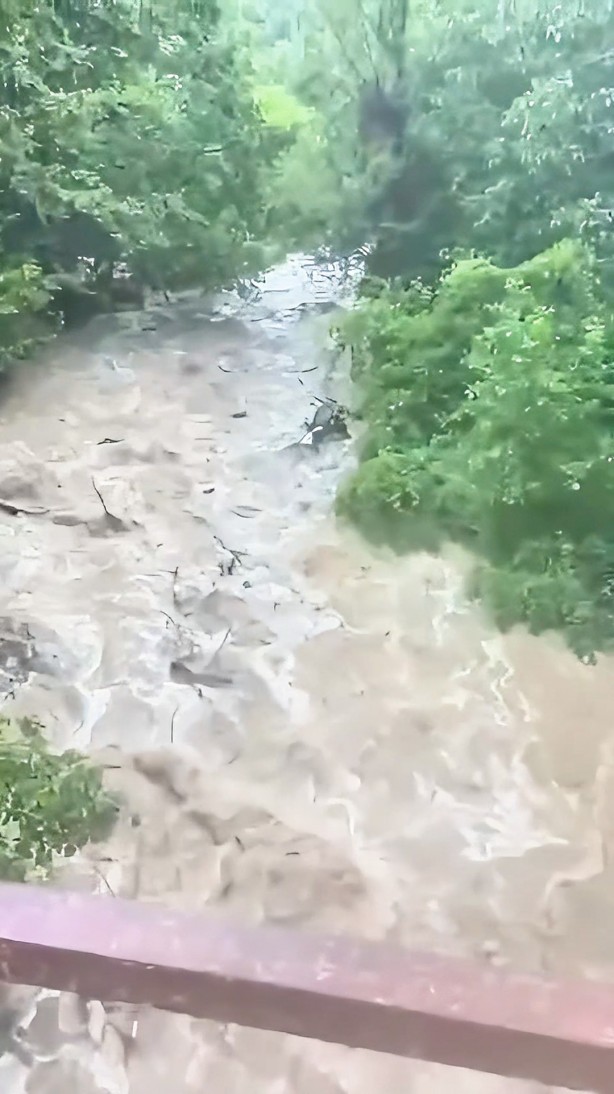 Gümüşhane’de sel sularıyla coşan derede cansız ayı görüntülendi