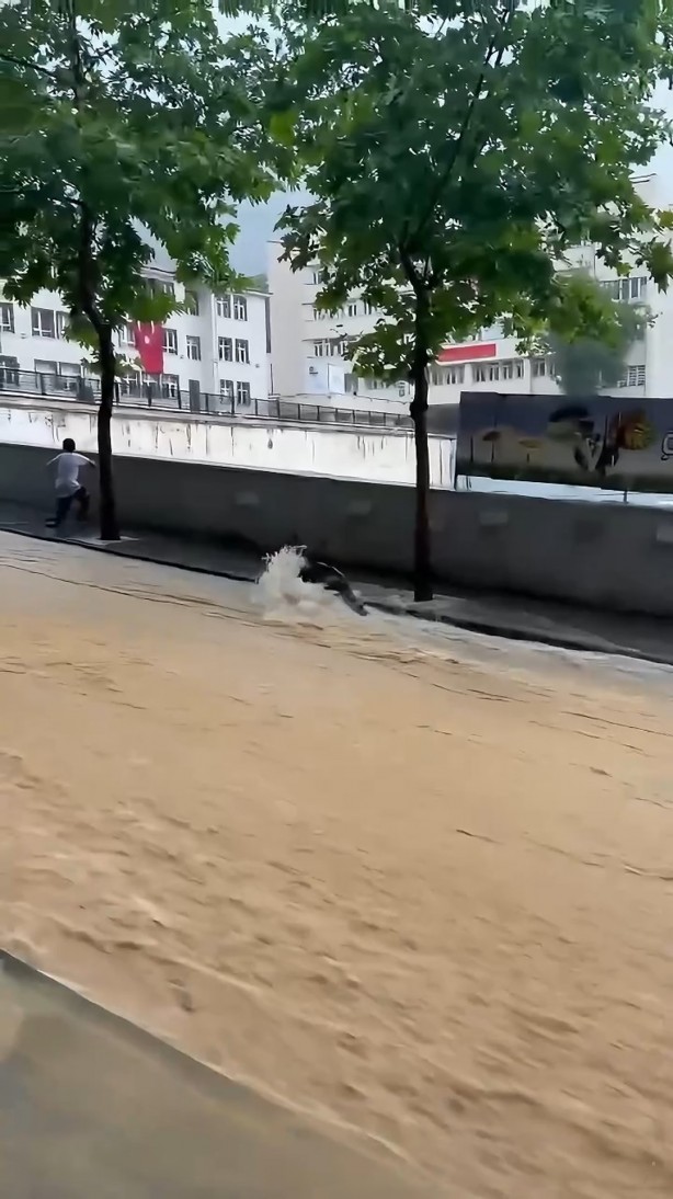 Foto - Gümüşhane’de sel sularıyla coşan derede cansız ayı görüntülendi