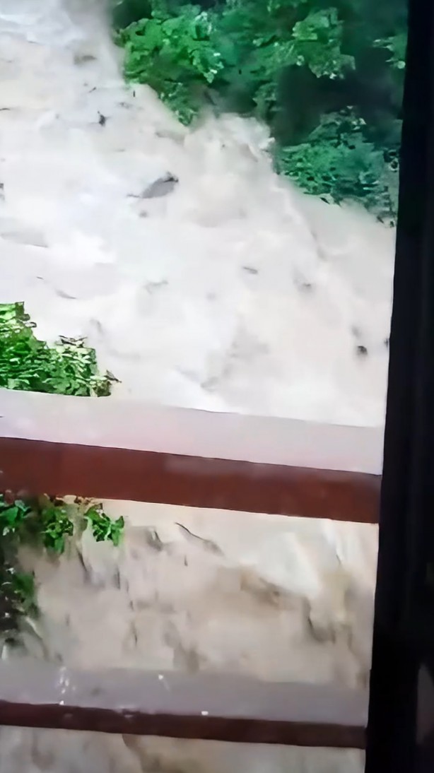 Foto - Gümüşhane’de sel sularıyla coşan derede cansız ayı görüntülendi