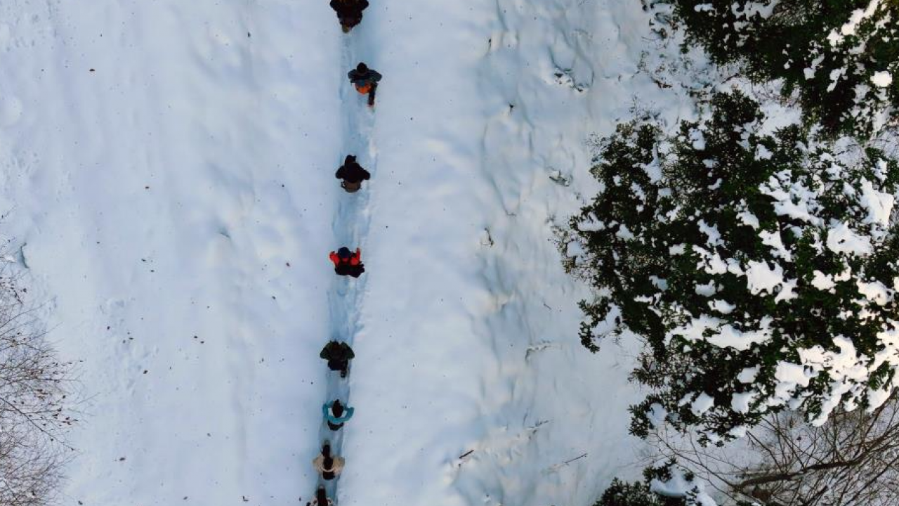 Gümüşhane'de stresini atmak isteyenler Torul’un zirvelerine tırmandı