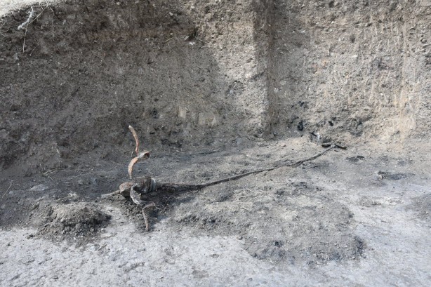 Foto - Gümüşhane'den gelen haber şaşırttı! Çok kollu bir şamdan...