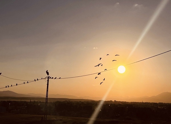 Foto - Gün batımı göz kamaştırdı