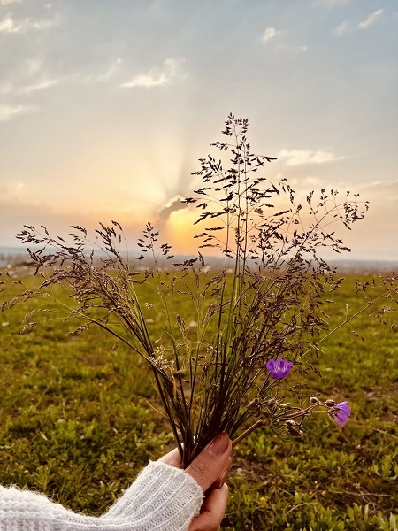 Foto - Gün batımı göz kamaştırdı