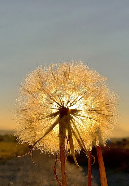 Foto - Gün batımı göz kamaştırdı