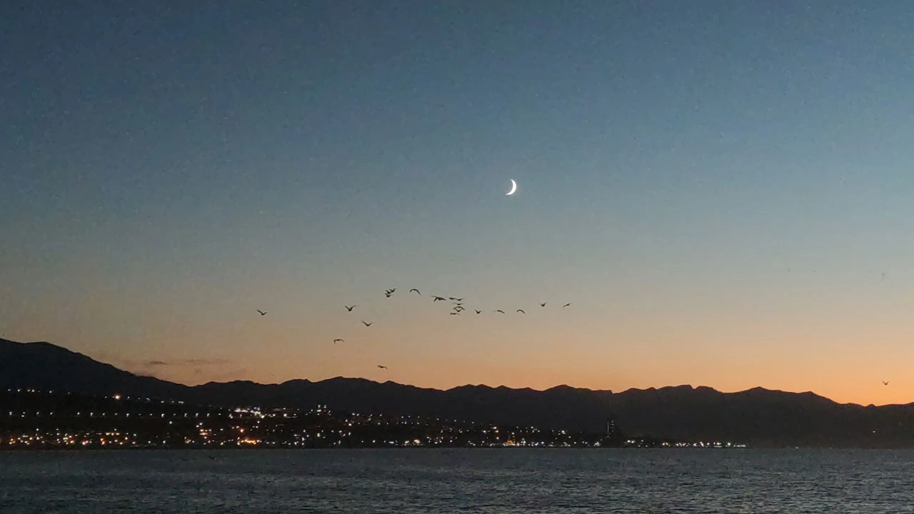 Foto - Gün batımında görsel şölen! Van Gölü’nde kuşların göç dansı büyüledi